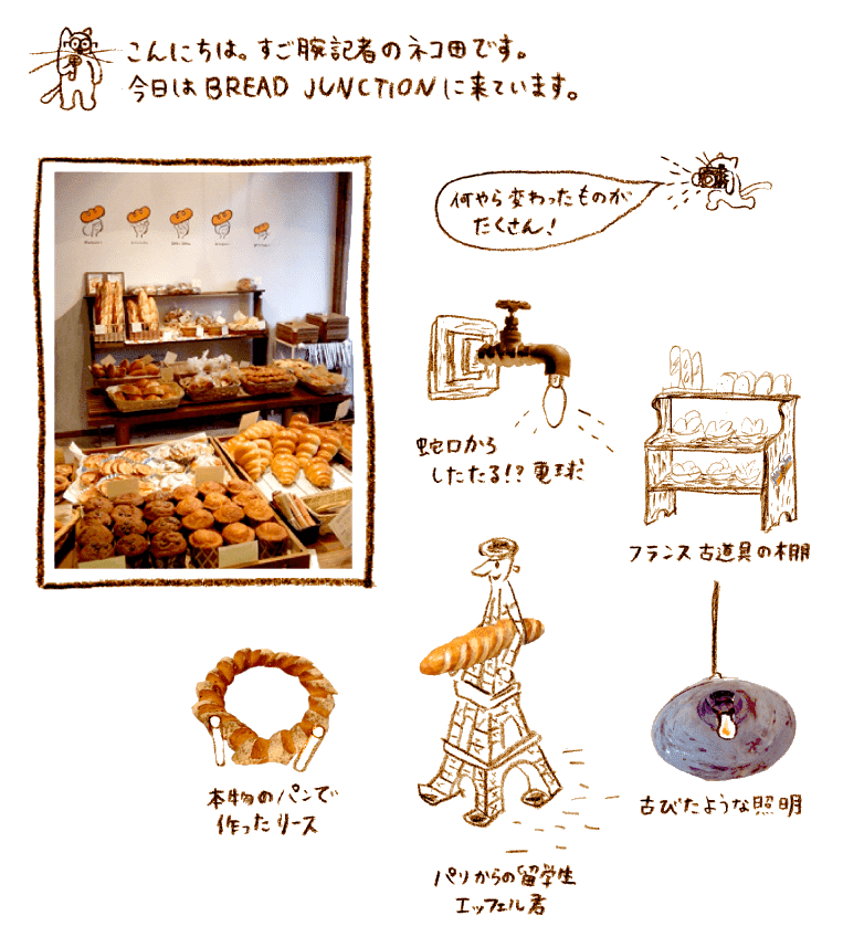 猫のねこ田さんが店内を取材に来た様子のイラスト